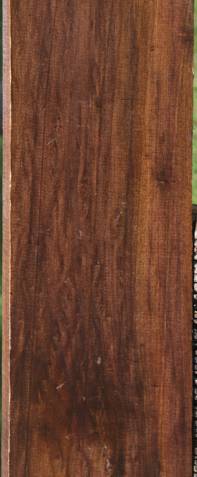 Extra Fancy Mansonia Lumber