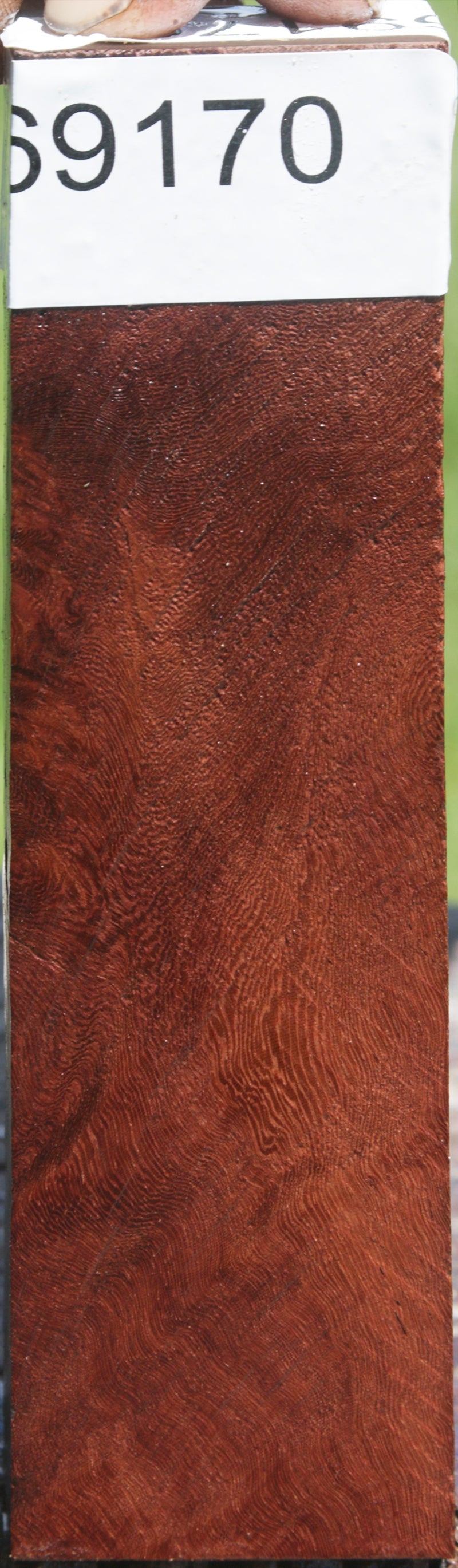 Honduras Rosewood Knife Blank