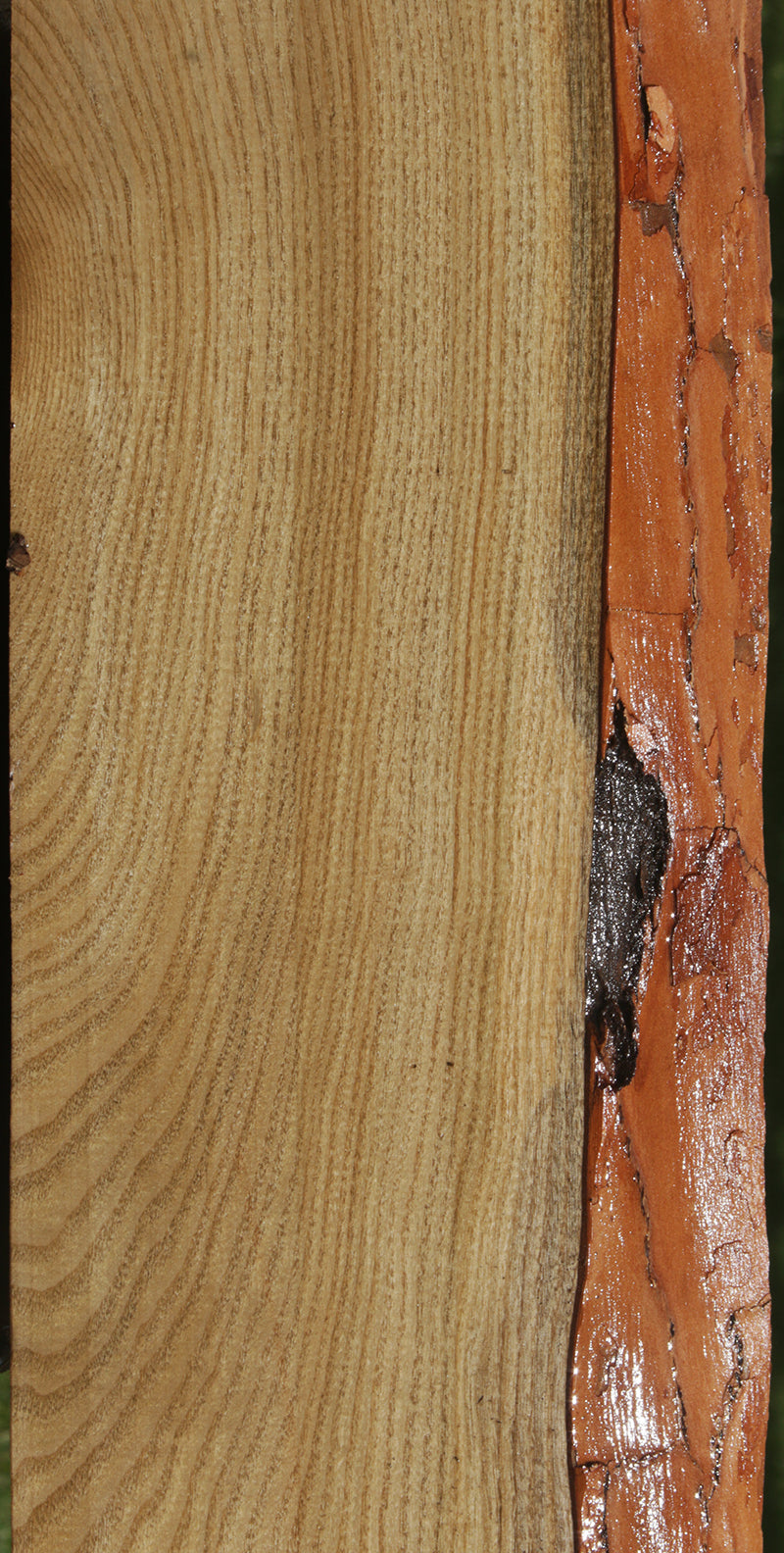 Sassafras Live Edge Lumber