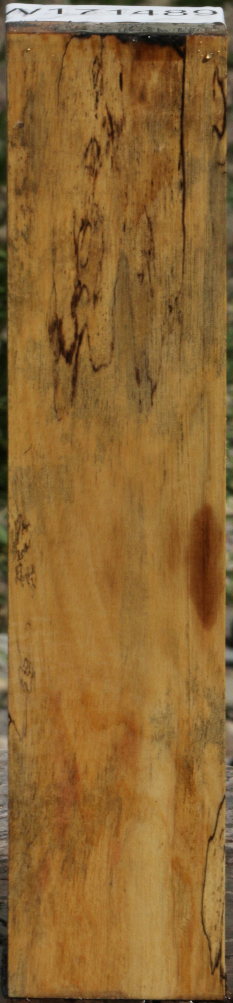 Spalted Black and White Ebony Lumber