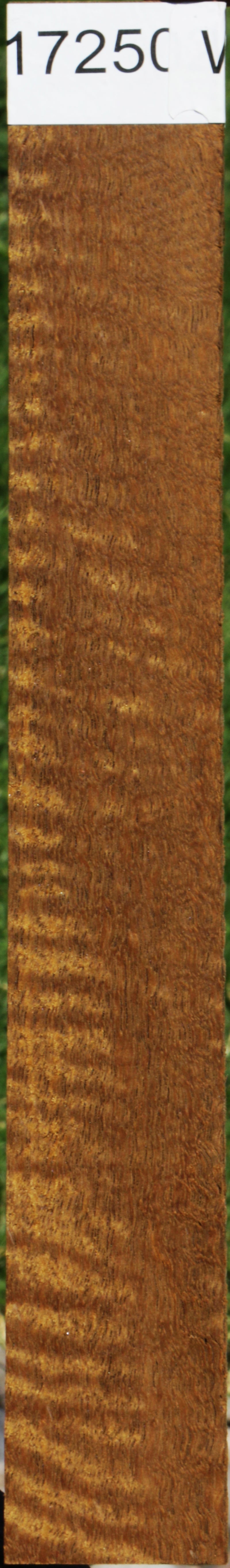 Figured Mirindiba Micro Lumber