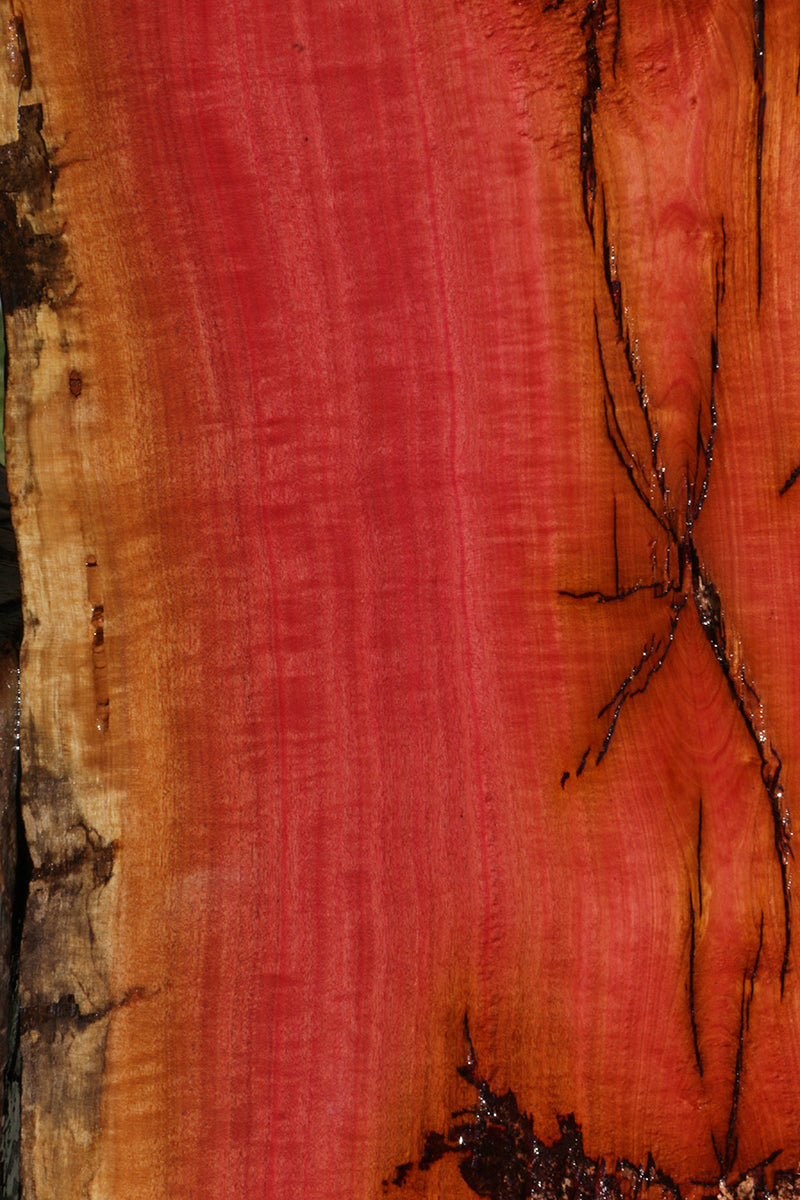 Rustic Pink Ivory Lumber