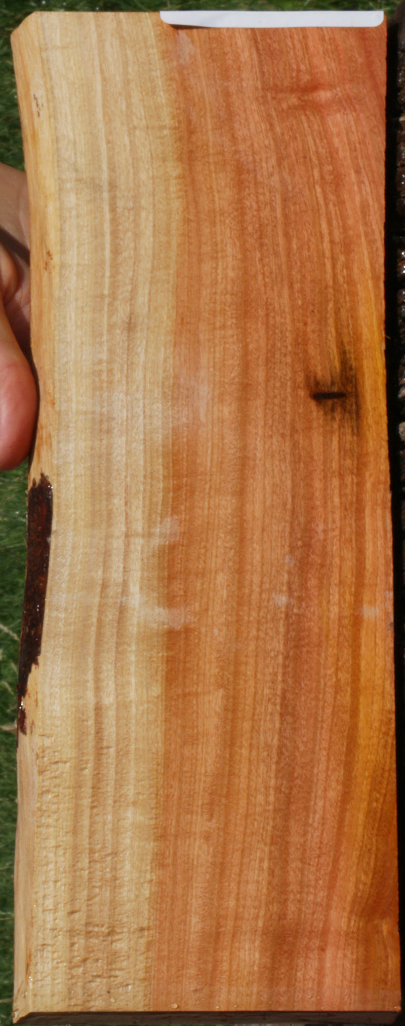 Extra Fancy Pink Ivory Live Edge Lumber