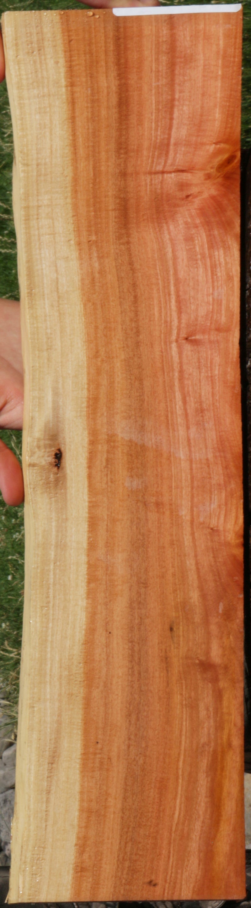 Extra Fancy Pink Ivory Live Edge Lumber