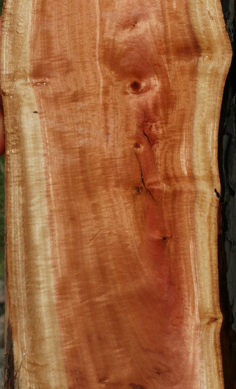 Pink Ivory Lumber