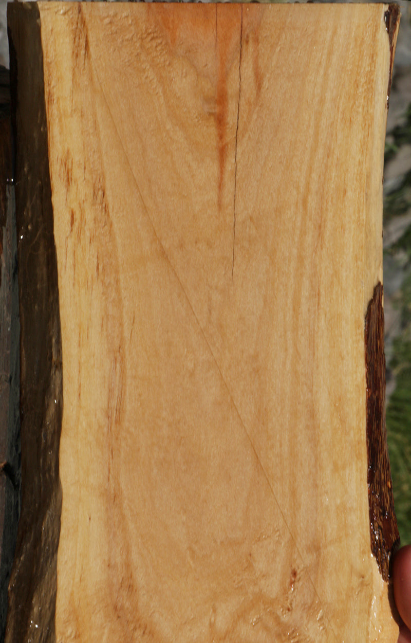 Pink Ivory Live Edge Micro Lumber