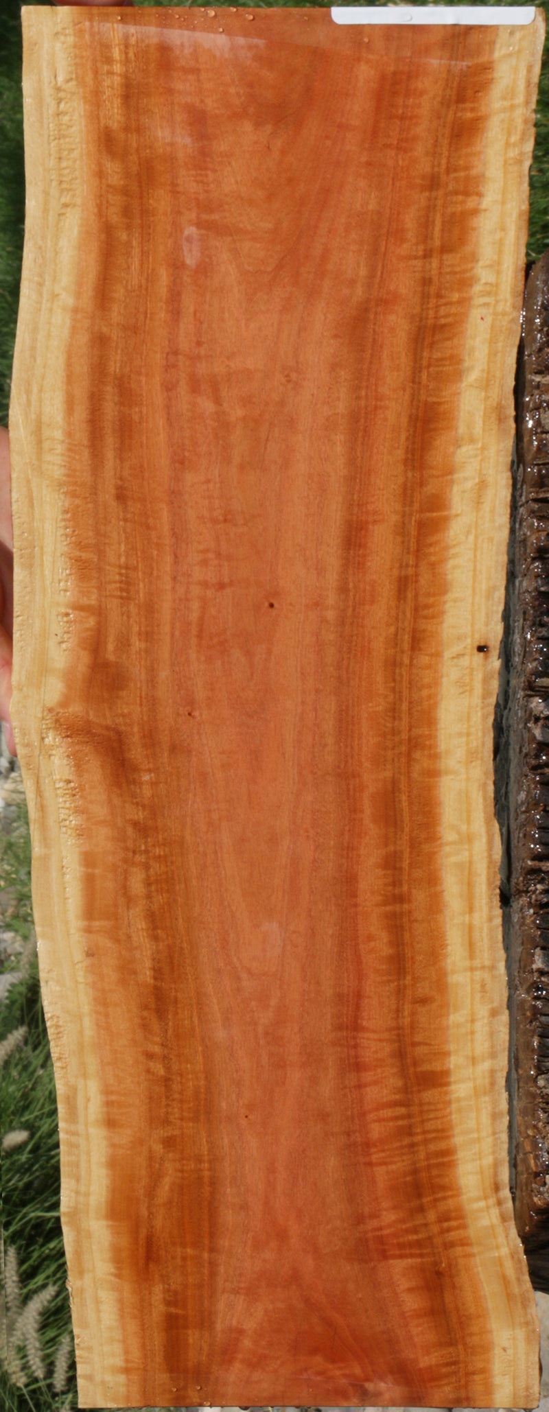 Exhibition Pink Ivory Live Edge Lumber