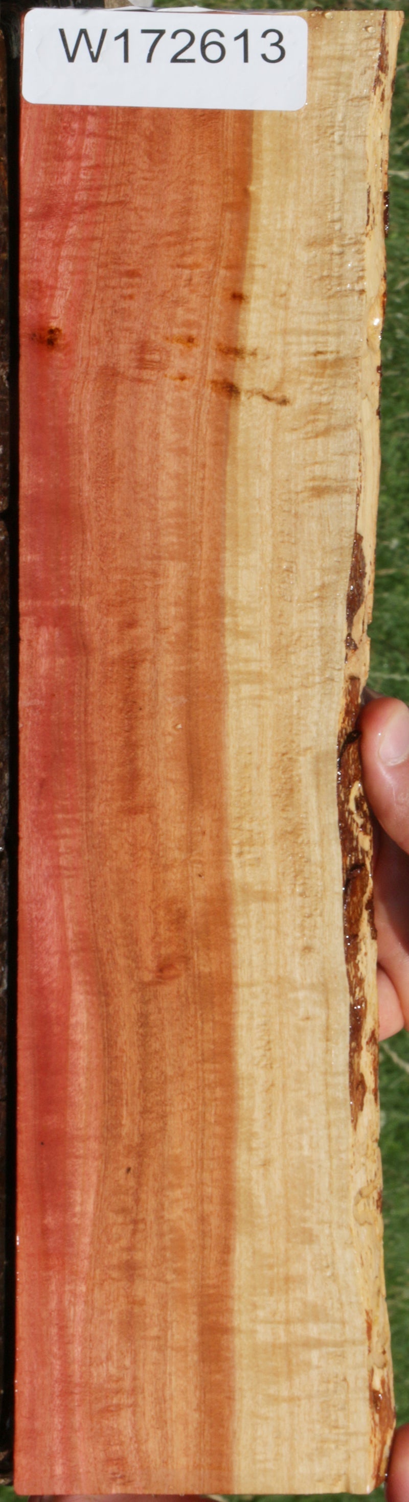 Exhibition Pink Ivory Live Edge Micro Lumber