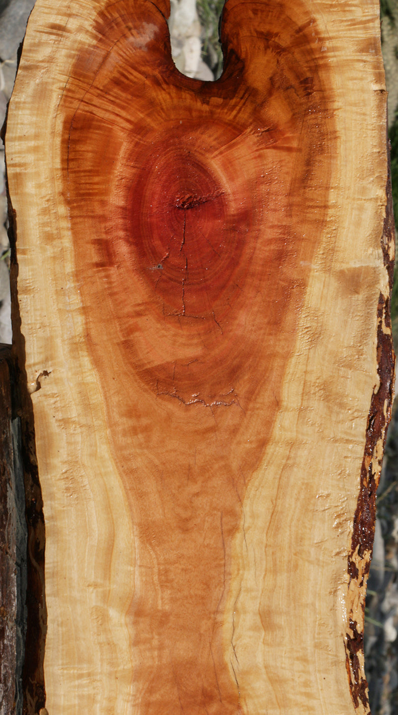 Rustic Pink Ivory Live Edge Lumber