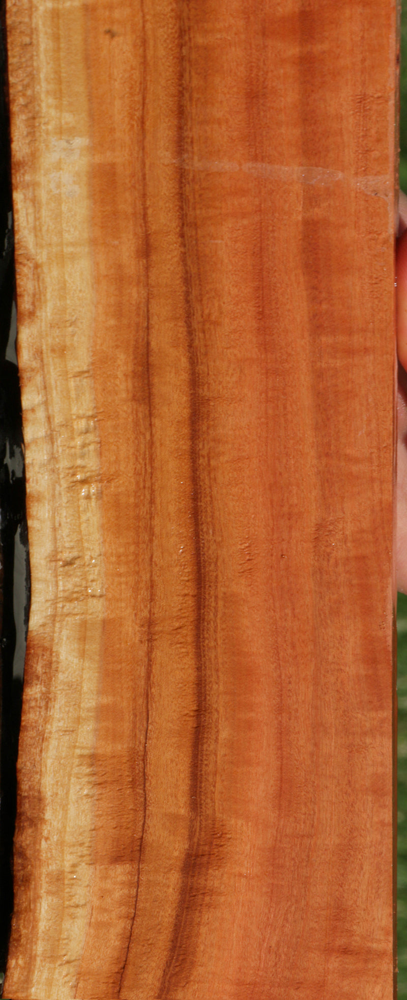 Extra Fancy Pink Ivory Live Edge Lumber