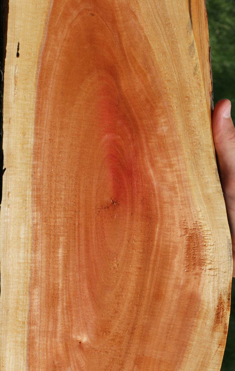 Extra Fancy Pink Ivory Live Edge Lumber