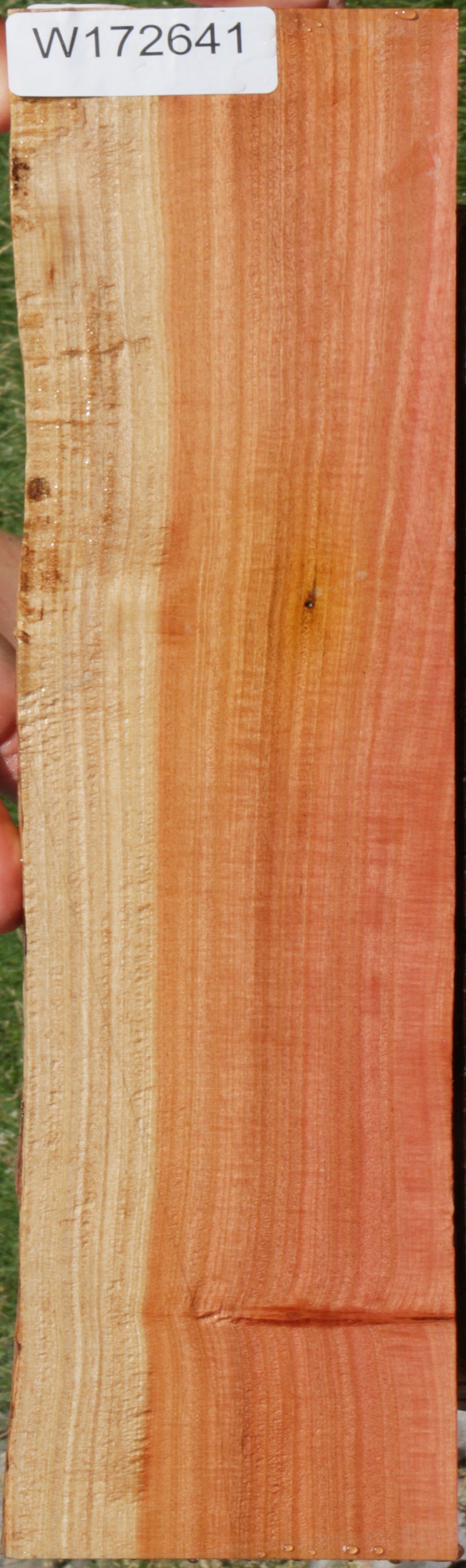 Extra Fancy Pink Ivory Live Edge Lumber