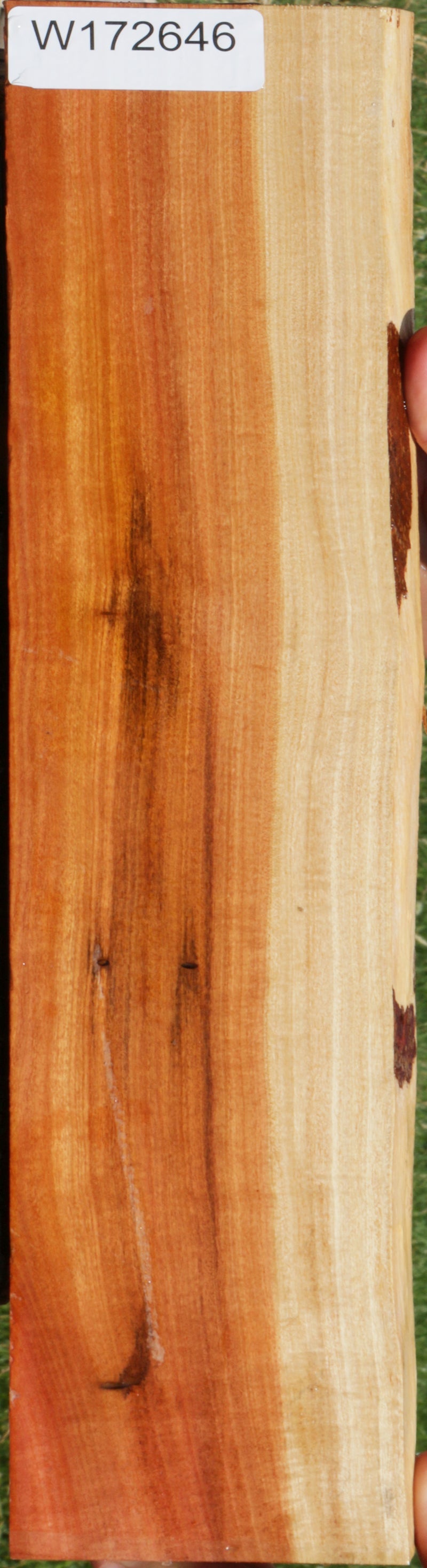 Extra Fancy Pink Ivory Live Edge Lumber