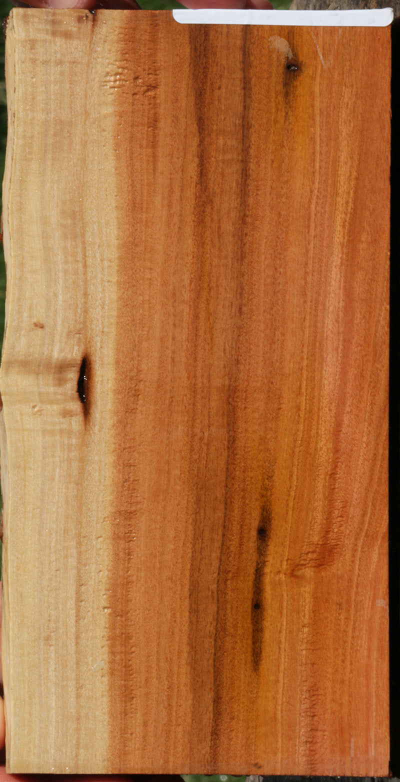 Pink Ivory Live Edge Lumber