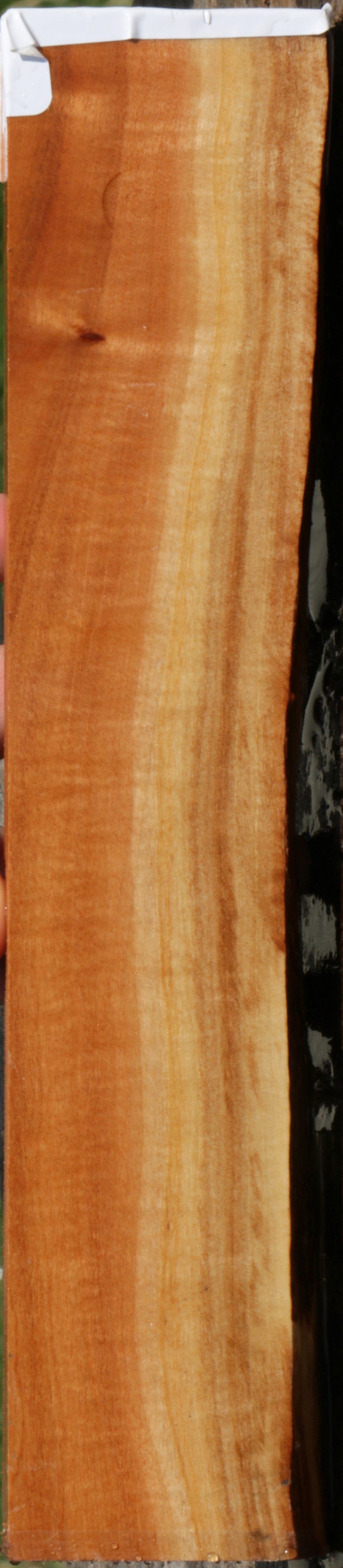 Extra Fancy Pink Ivory Live Edge Lumber