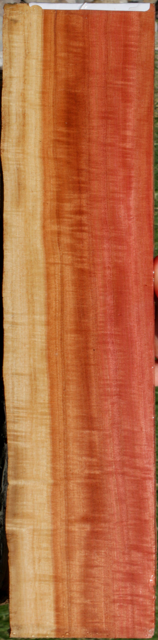 Exhibition Pink Ivory Live Edge Lumber