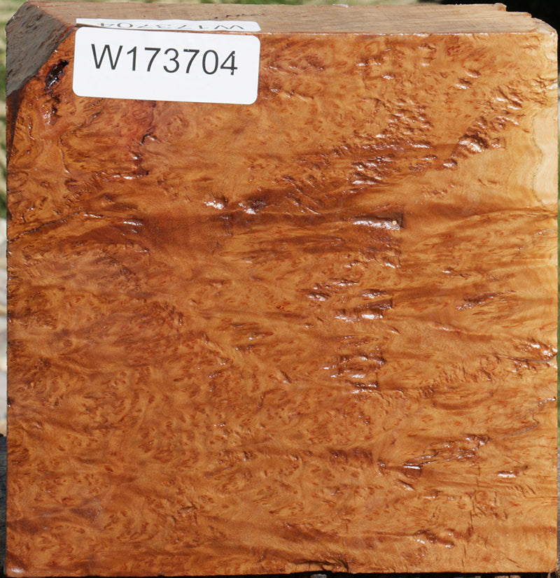 Brown Mallee Burl Bowl Blank