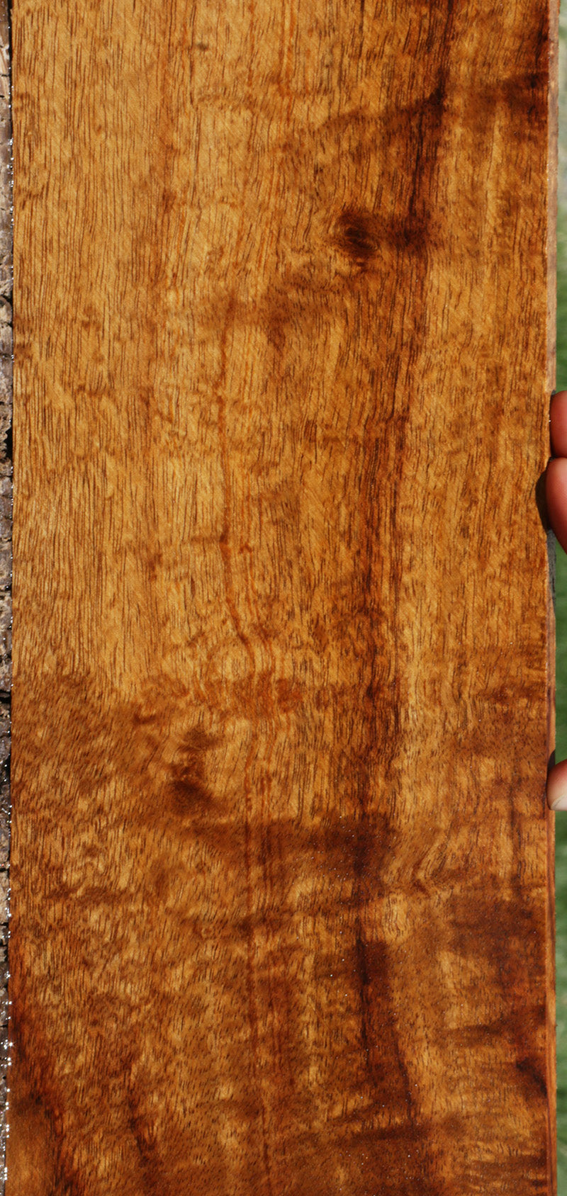 Exhibition Hawaiian Koa Micro Lumber
