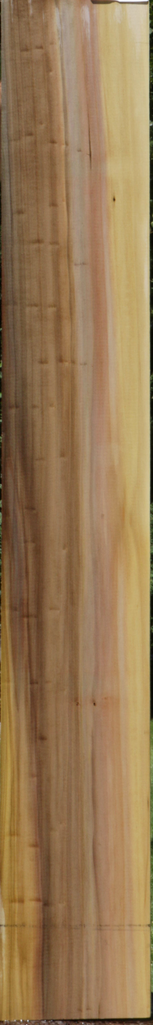 Purple Poplar Lumber