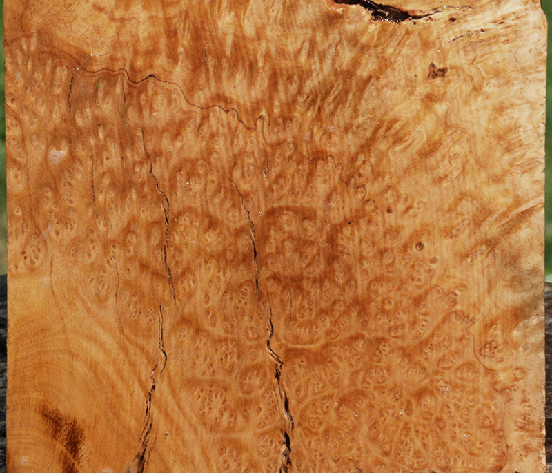 Extra Fancy Kanista Live Edge Burl Bowl Blank