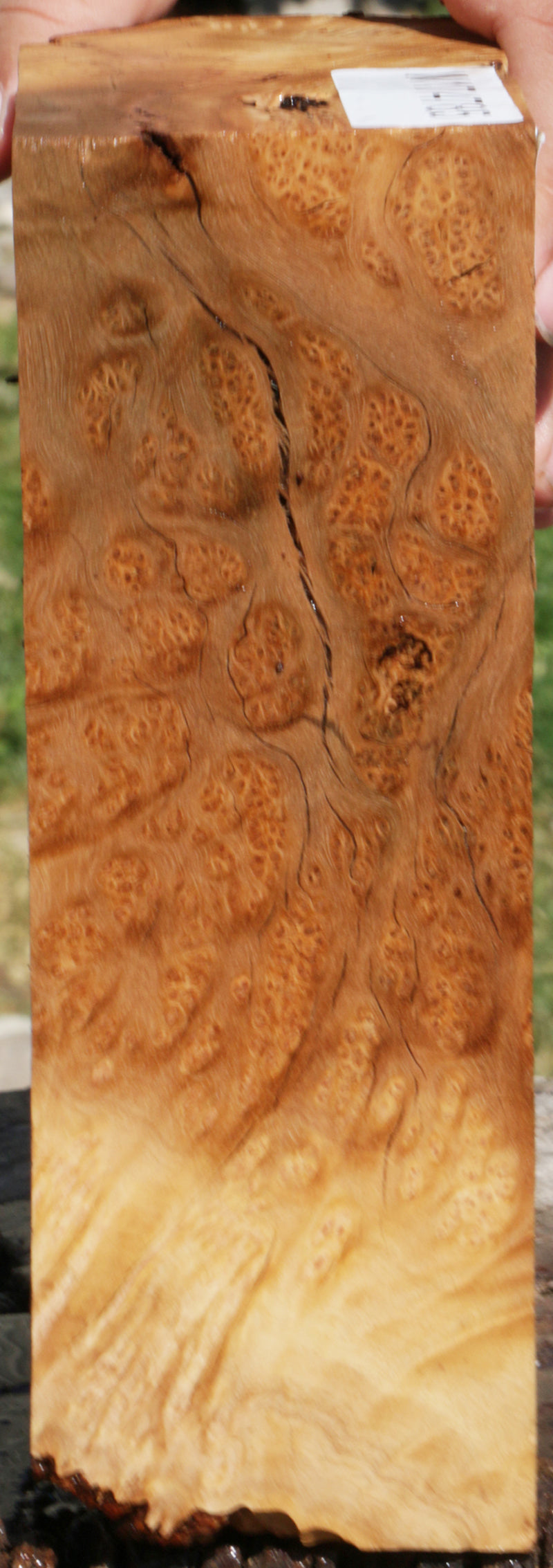 Exhibition Kanista Live Edge Burl Slice