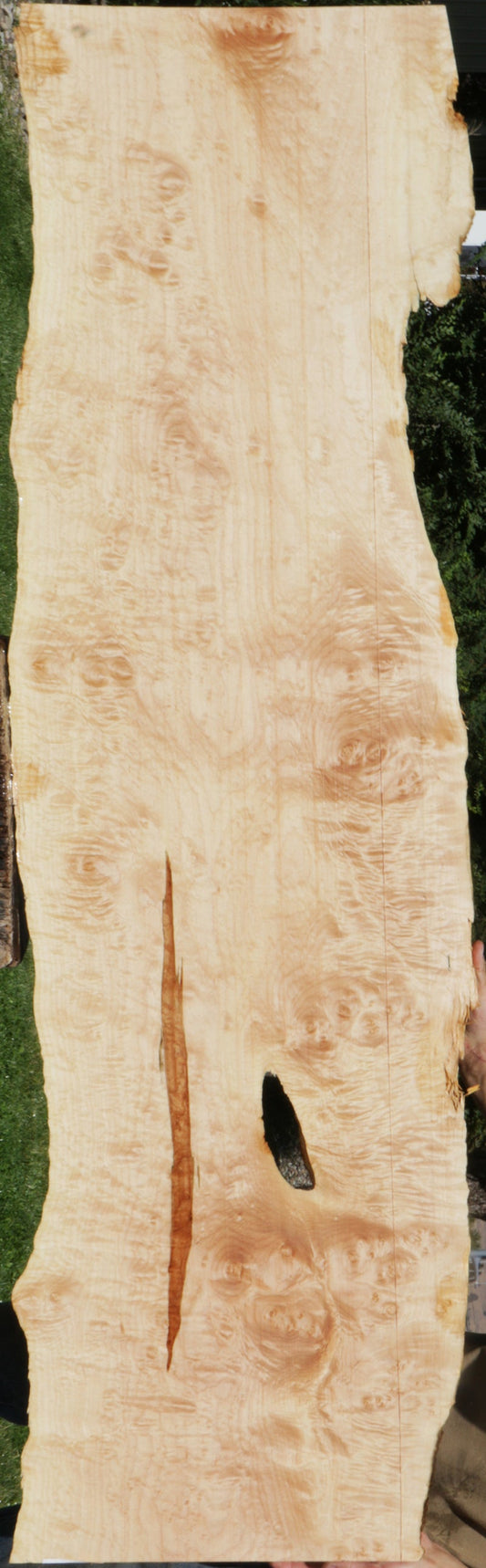 Maple Live Edge Lumber (Freight Shipping Required)