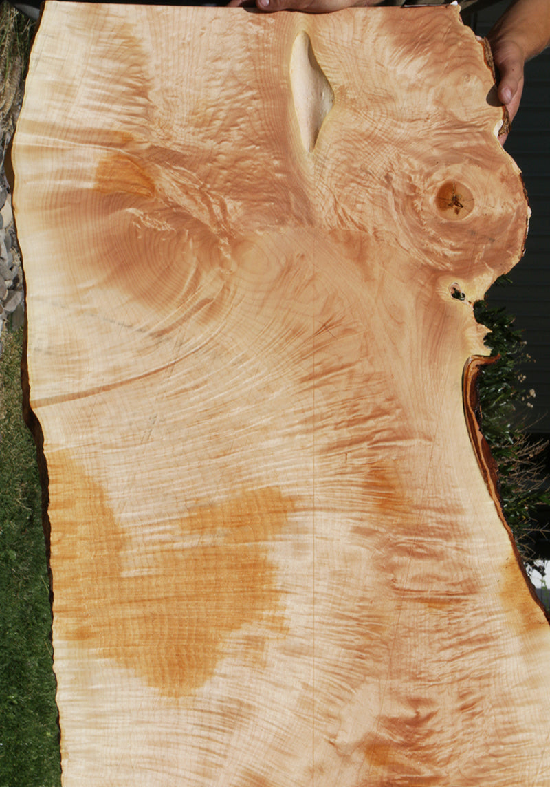 Fiddleback Maple Live Edge Lumber