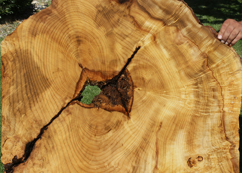 Myrtle Burl Live Edge Lumber (Freight Shipping Required)