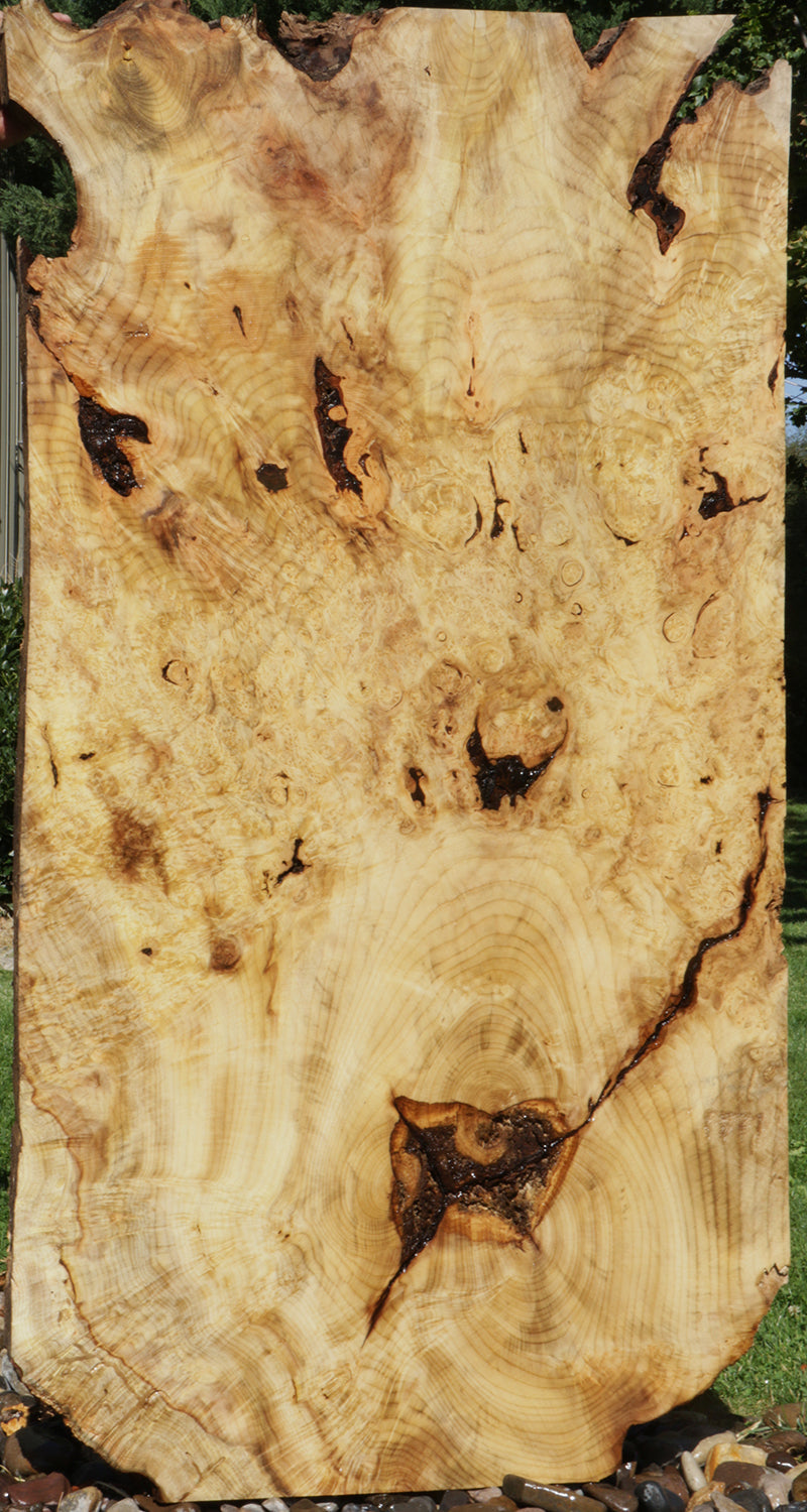 Myrtle Burl Lumber (Freight Shipping Required)