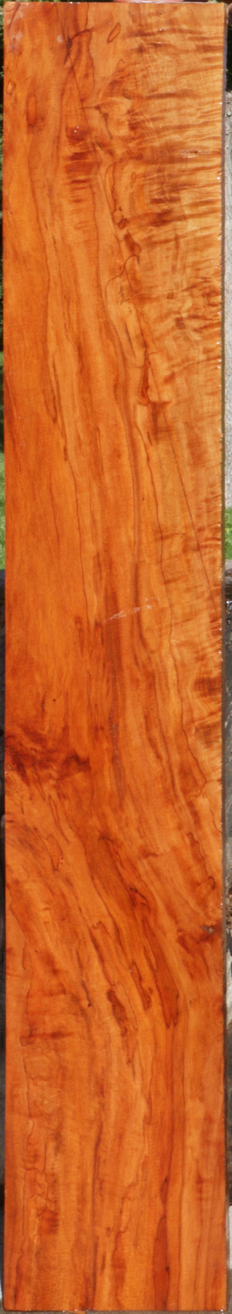 Exhibition Figured Rambutan Lumber
