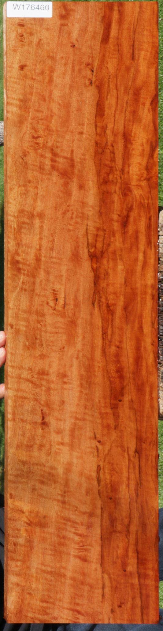 Spalted Exhibition Figured Rambutan Lumber