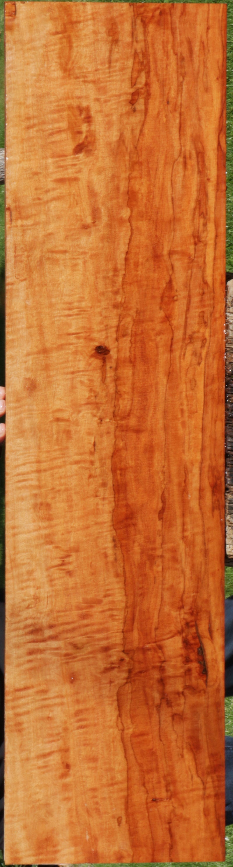 Spalted Exhibition Figured Rambutan Lumber