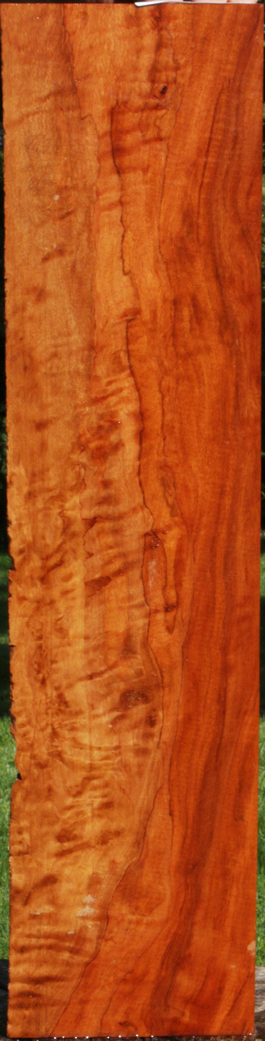 Spalted Exhibition Figured Rambutan Live Edge Lumber