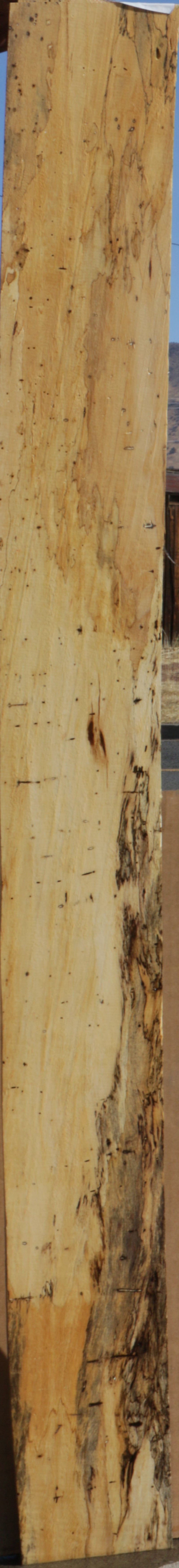 Exhibition Spalted Tamarind Lumber
