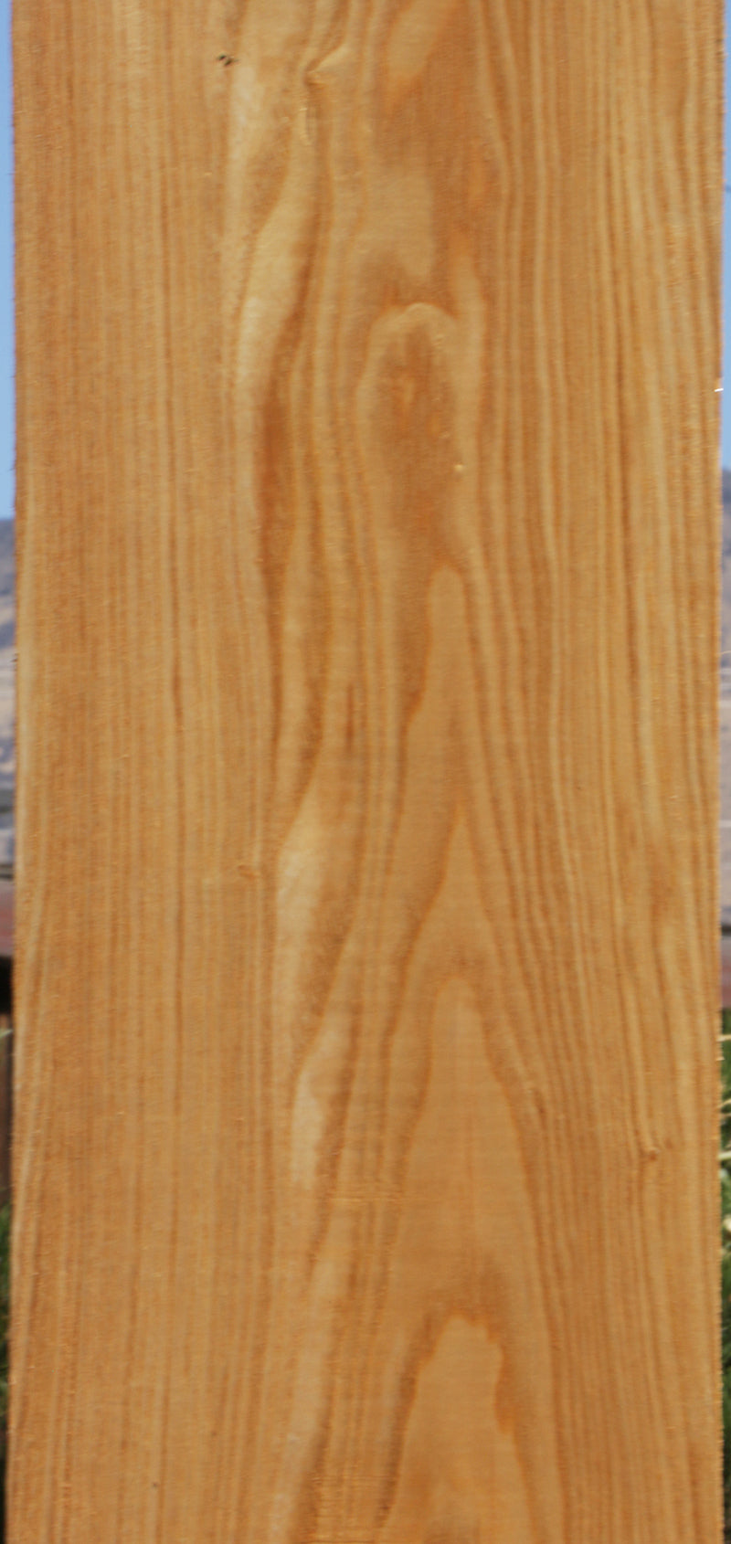 Kentucky Coffeetree Lumber
