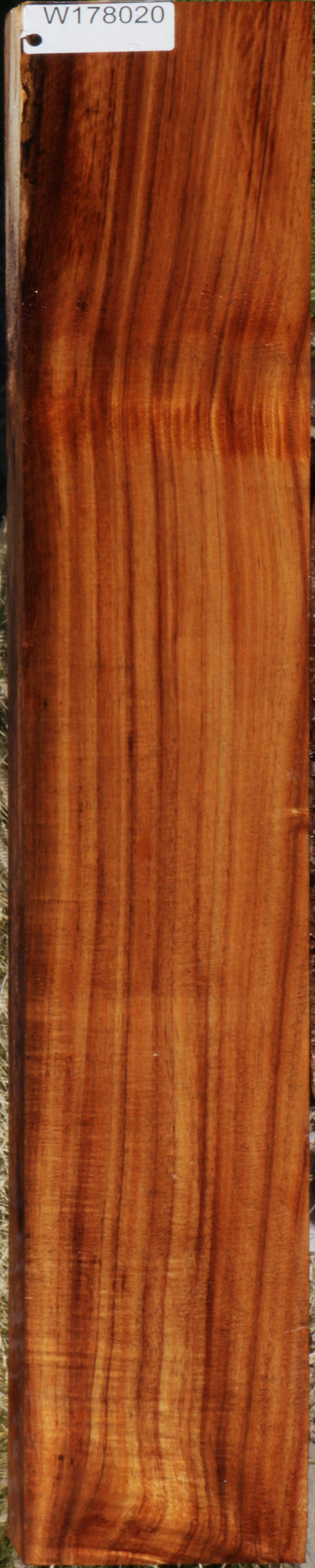 Extra Fancy Curly Hawaiian Koa Instrument  Lumber