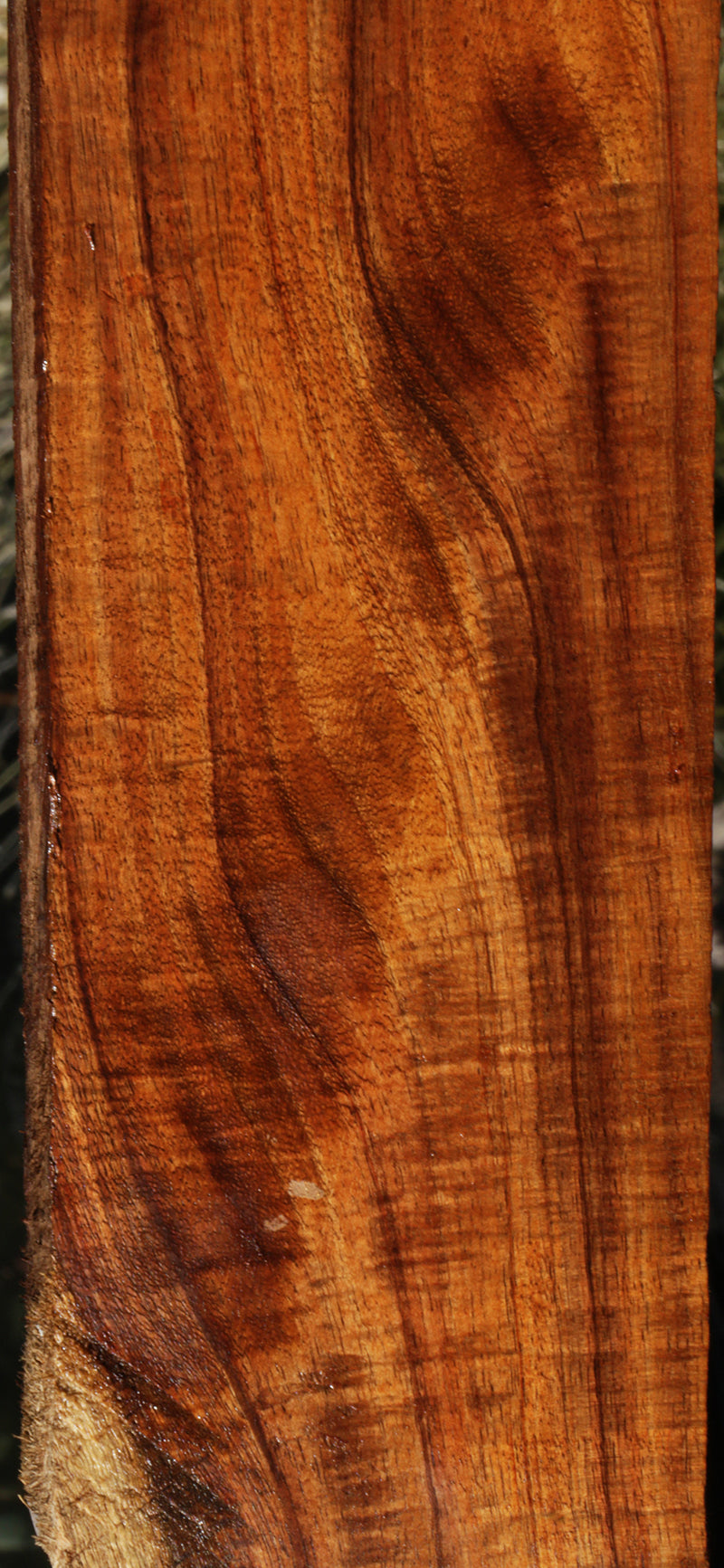Exhibition Curly Hawaiian Koa Lumber