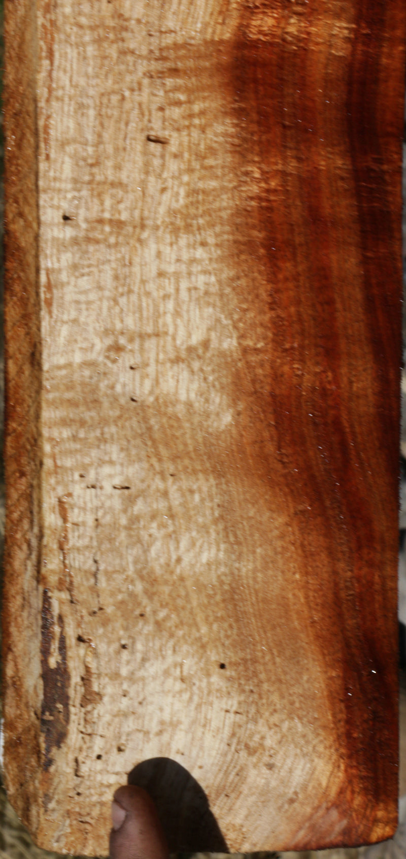 Exhibition Curly Hawaiian Koa Lumber