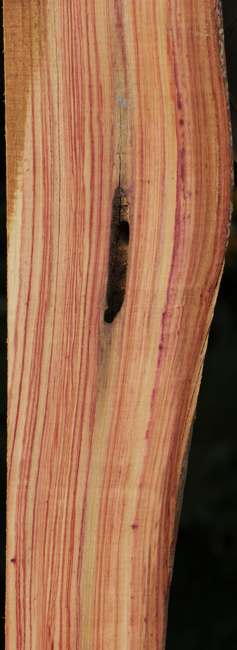 Tulipwood Lumber
