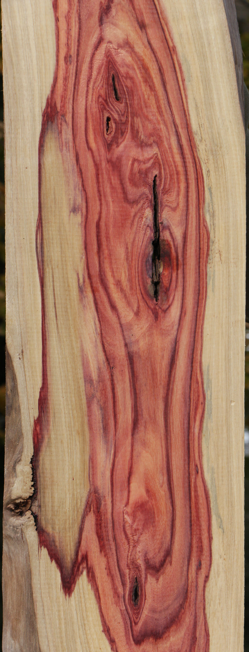 Rustic Live Edge Tulipwood Lumber