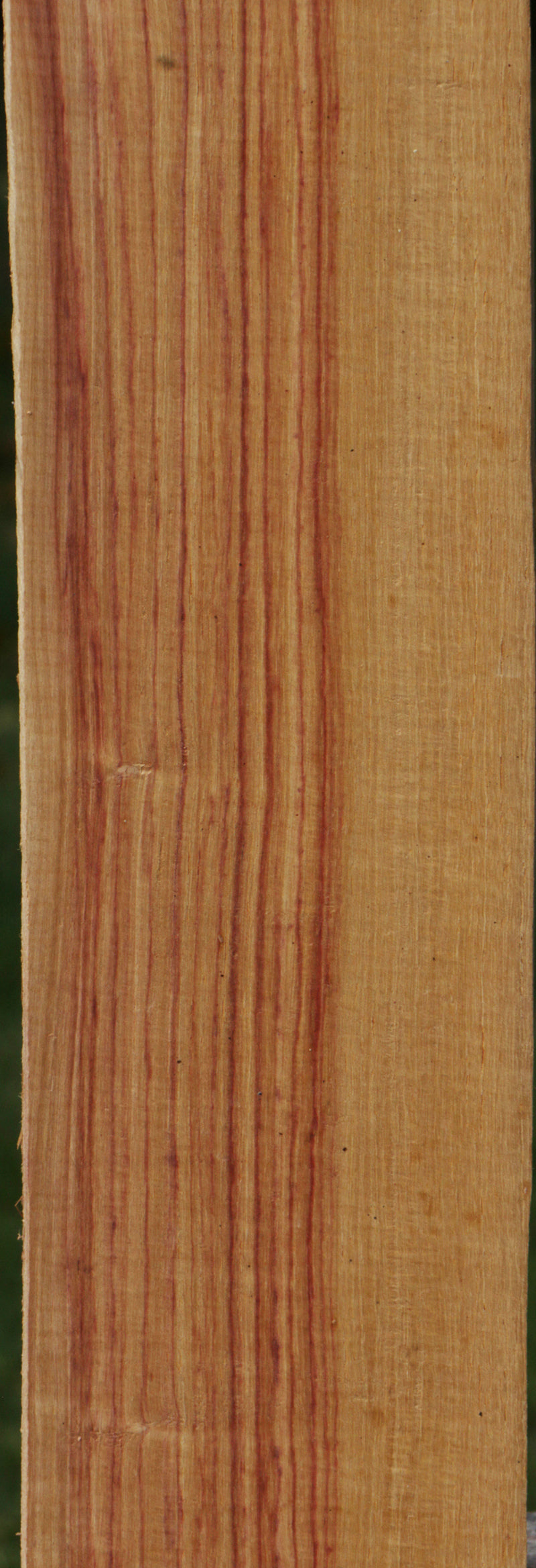 Tulipwood Lumber