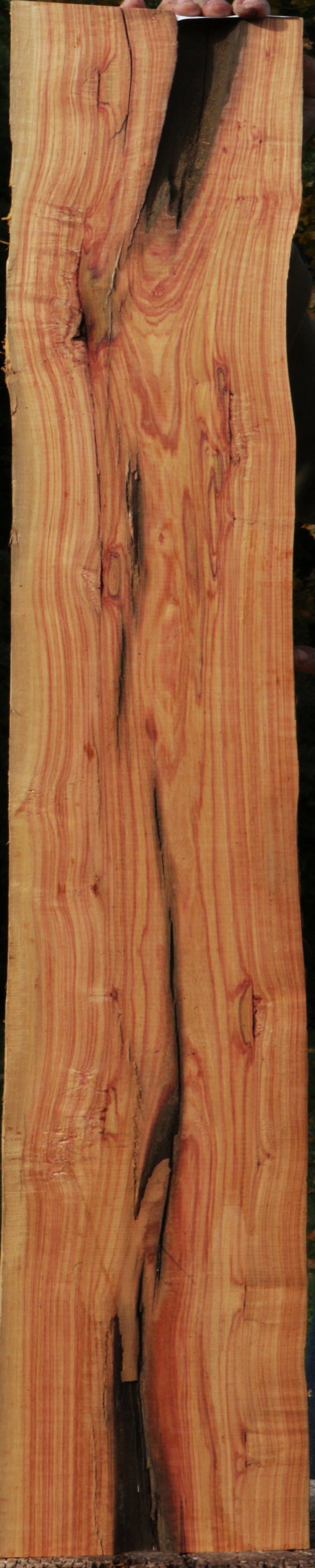 Rustic Live Edge Tulipwood Lumber