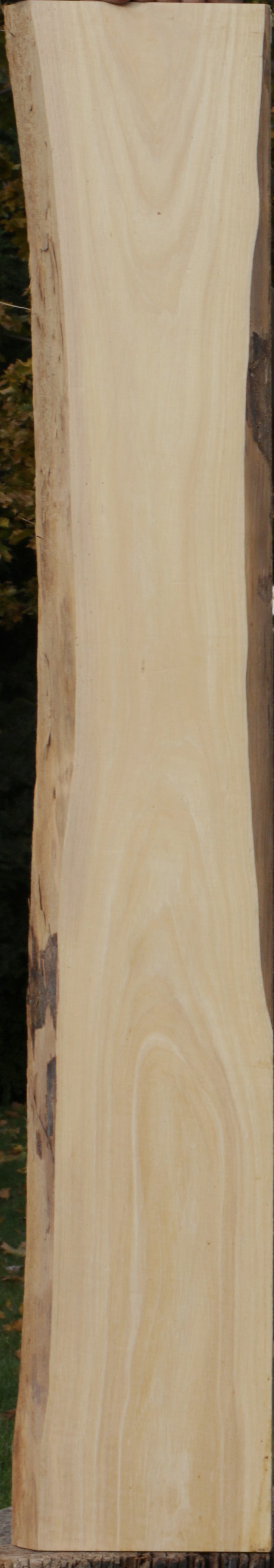Live Edge Tulipwood Lumber