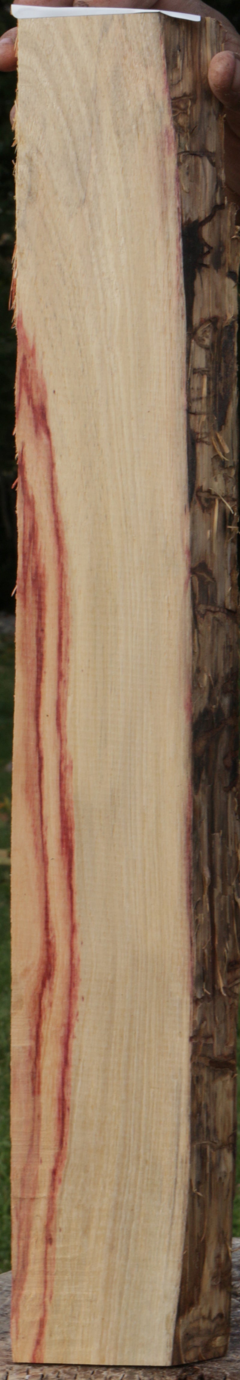 Live Edge Tulipwood Lumber
