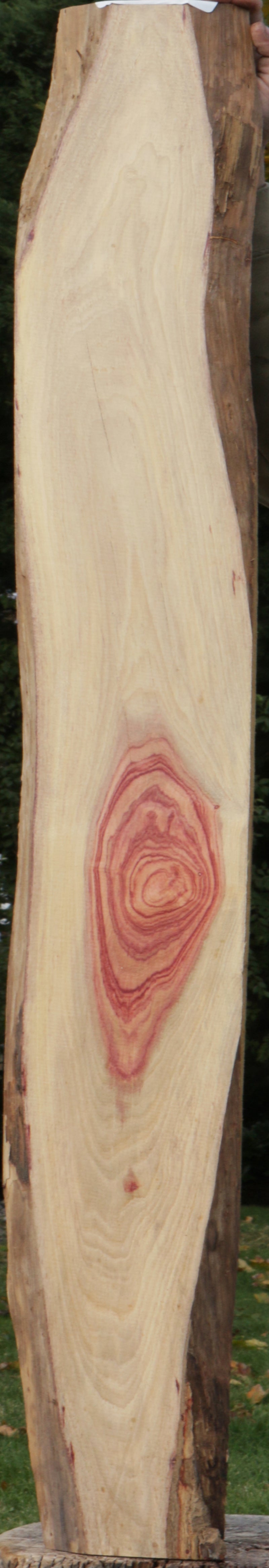 Live Edge Tulipwood Lumber