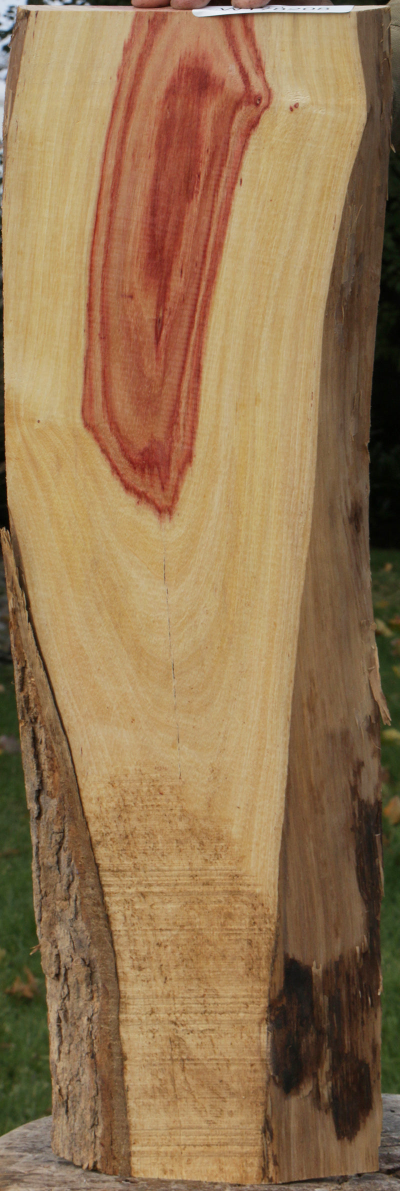 Live Edge Tulipwood Lumber