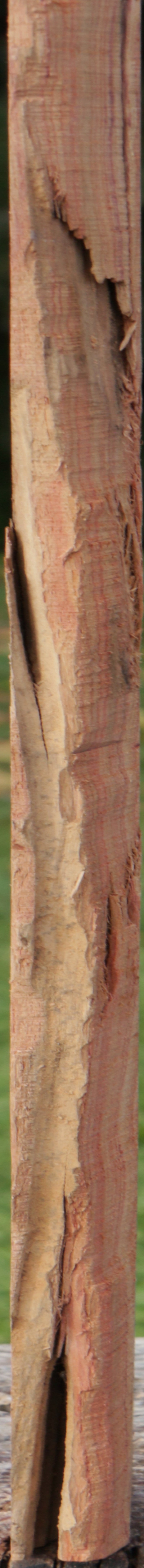 Live Edge Tulipwood Lumber