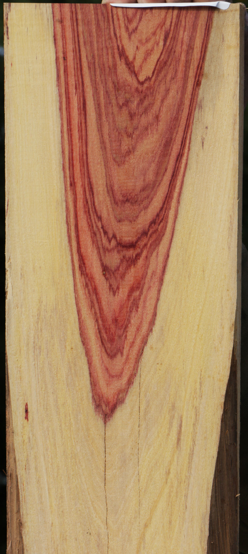 Live Edge Tulipwood Lumber