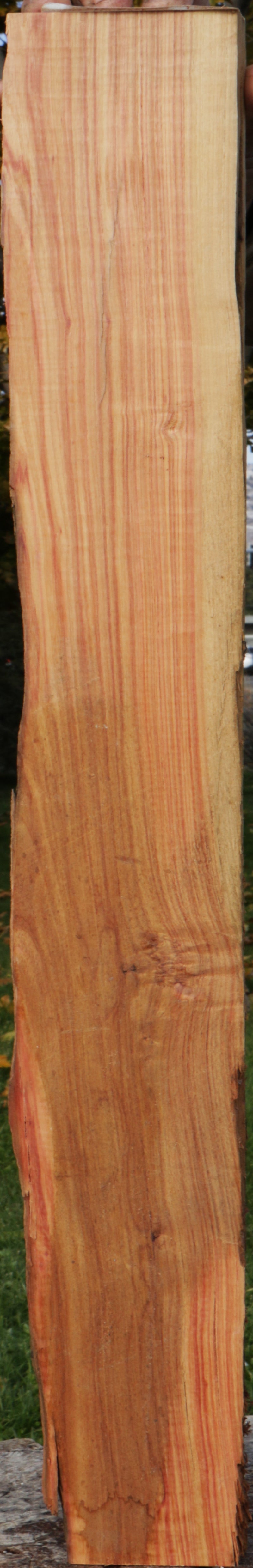 Tulipwood Lumber