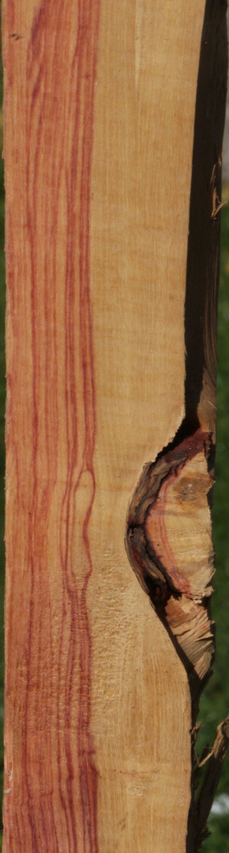Live Edge Tulipwood Lumber